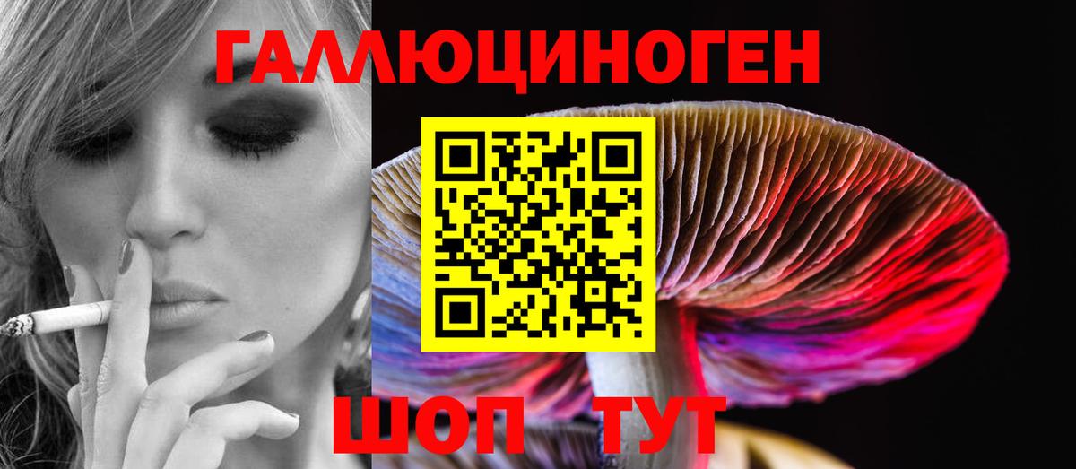 Псилоцибиновые грибы Magic Shrooms Павловский Посад